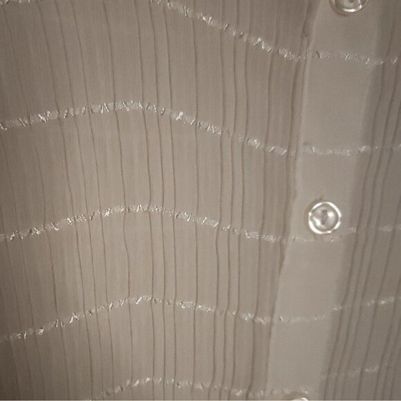 Serenade Womens White Pleated Sheer Button Front Blouse Small - Picture 4 of 8